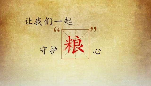  振動(dòng)給料機(jī)
